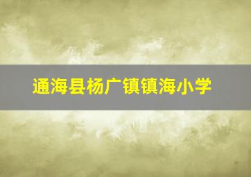 通海县杨广镇镇海小学