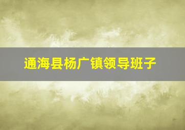 通海县杨广镇领导班子