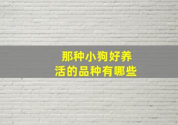 那种小狗好养活的品种有哪些