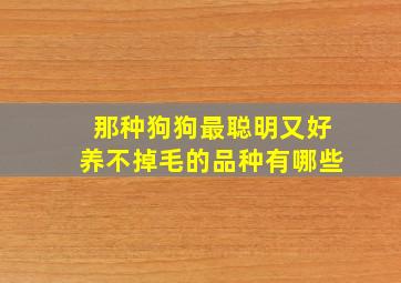 那种狗狗最聪明又好养不掉毛的品种有哪些