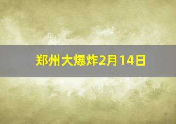 郑州大爆炸2月14日