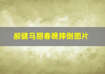 郝健马丽春晚摔倒图片