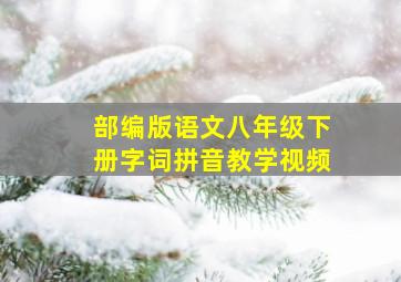 部编版语文八年级下册字词拼音教学视频