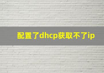 配置了dhcp获取不了ip