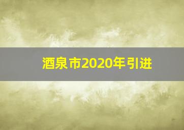 酒泉市2020年引进