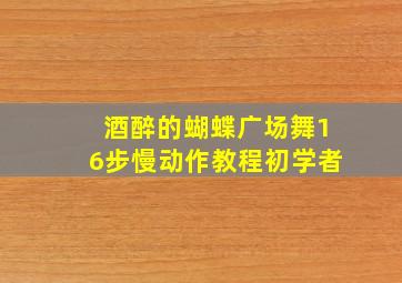 酒醉的蝴蝶广场舞16步慢动作教程初学者