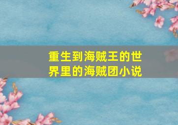 重生到海贼王的世界里的海贼团小说