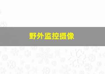 野外监控摄像