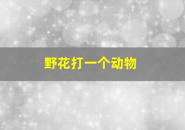 野花打一个动物