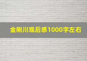 金刚川观后感1000字左右