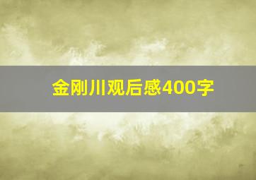 金刚川观后感400字