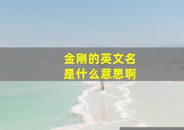 金刚的英文名是什么意思啊