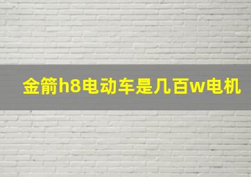 金箭h8电动车是几百w电机