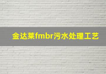 金达莱fmbr污水处理工艺