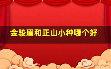 金骏眉和正山小种哪个好