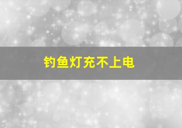 钓鱼灯充不上电