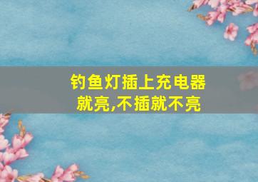 钓鱼灯插上充电器就亮,不插就不亮