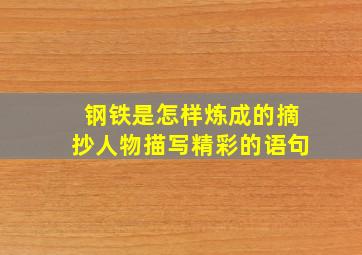 钢铁是怎样炼成的摘抄人物描写精彩的语句