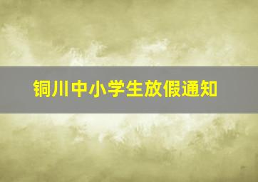 铜川中小学生放假通知