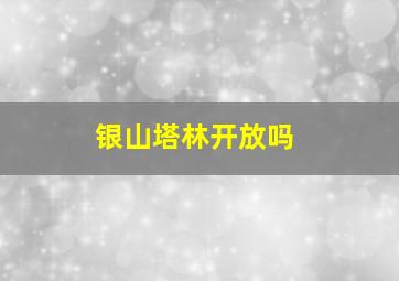 银山塔林开放吗