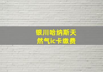 银川哈纳斯天然气ic卡缴费