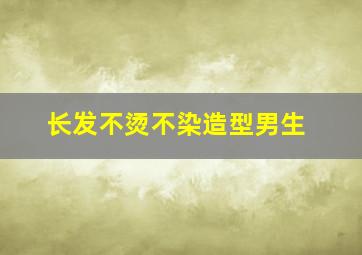 长发不烫不染造型男生