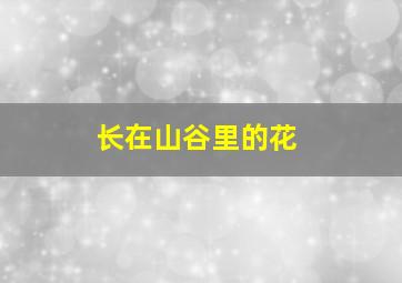 长在山谷里的花