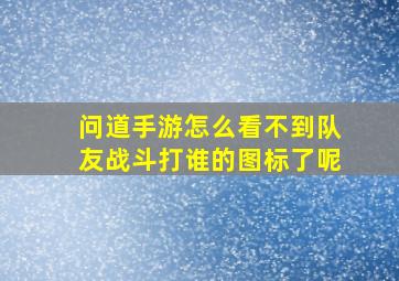 问道手游怎么看不到队友战斗打谁的图标了呢