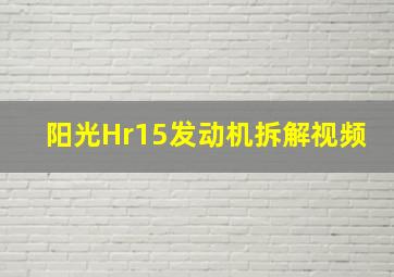 阳光Hr15发动机拆解视频