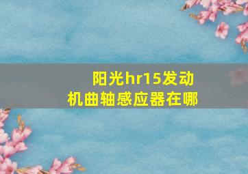 阳光hr15发动机曲轴感应器在哪