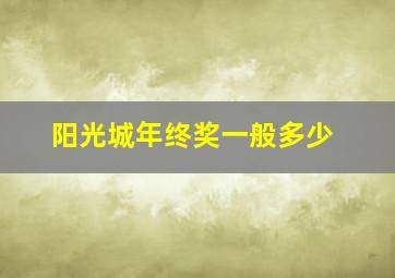 阳光城年终奖一般多少