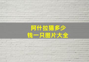 阿什拉猫多少钱一只图片大全