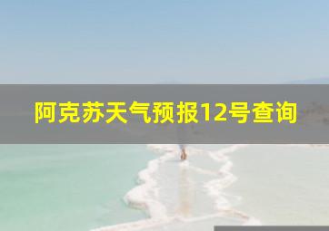 阿克苏天气预报12号查询