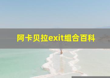 阿卡贝拉exit组合百科