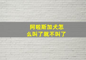 阿啦斯加犬怎么叫了就不叫了