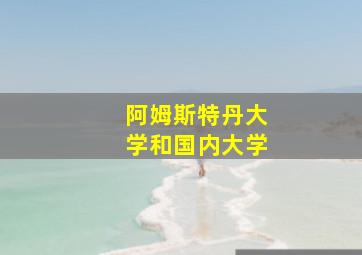 阿姆斯特丹大学和国内大学