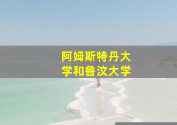 阿姆斯特丹大学和鲁汶大学