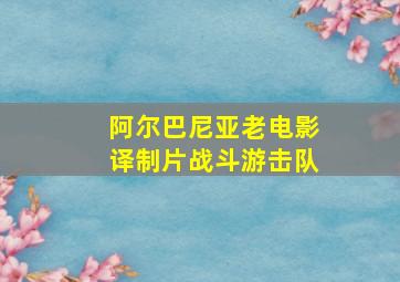 阿尔巴尼亚老电影译制片战斗游击队