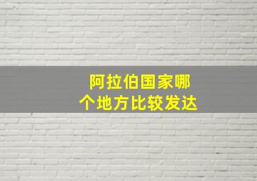 阿拉伯国家哪个地方比较发达