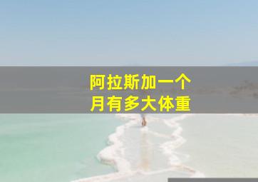 阿拉斯加一个月有多大体重