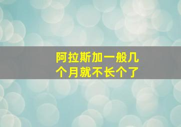 阿拉斯加一般几个月就不长个了