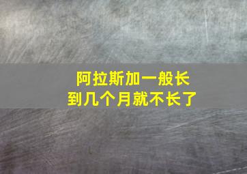 阿拉斯加一般长到几个月就不长了