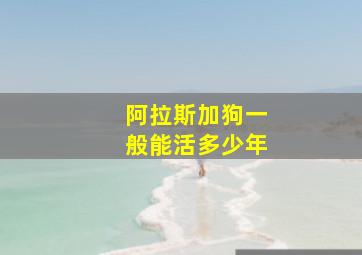 阿拉斯加狗一般能活多少年