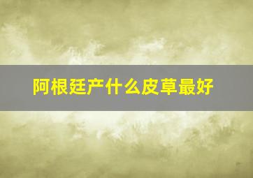 阿根廷产什么皮草最好