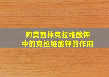 阿莫西林克拉维酸钾中的克拉维酸钾的作用