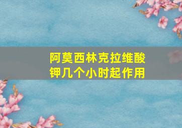 阿莫西林克拉维酸钾几个小时起作用