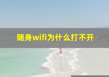 随身wifi为什么打不开