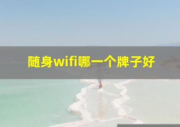 随身wifi哪一个牌子好