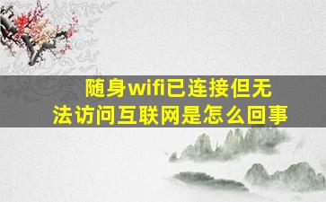 随身wifi已连接但无法访问互联网是怎么回事