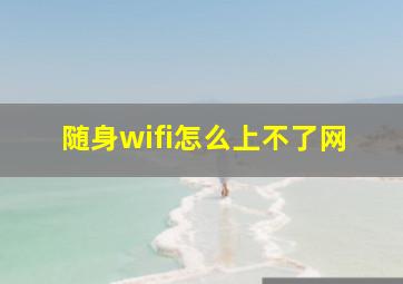 随身wifi怎么上不了网